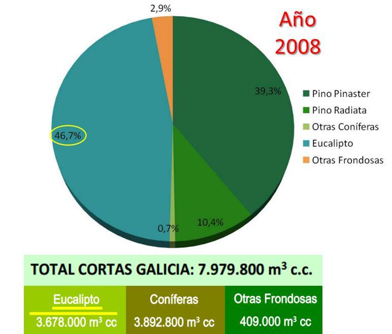 Gráfica 11. Evolución de las cortas de madera en Galicia. Datos, por grupo de especies, en el periodo 1999-2014.