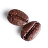 puntos porcentuales al crecimiento Café 40,6% Total pecuario 1,5% Pollo 1,7% Huevo 4,8% Carne