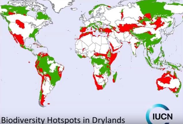 : Hotspots de biodiversidad en tierras secas: son zonas biogeográficas con reservorios