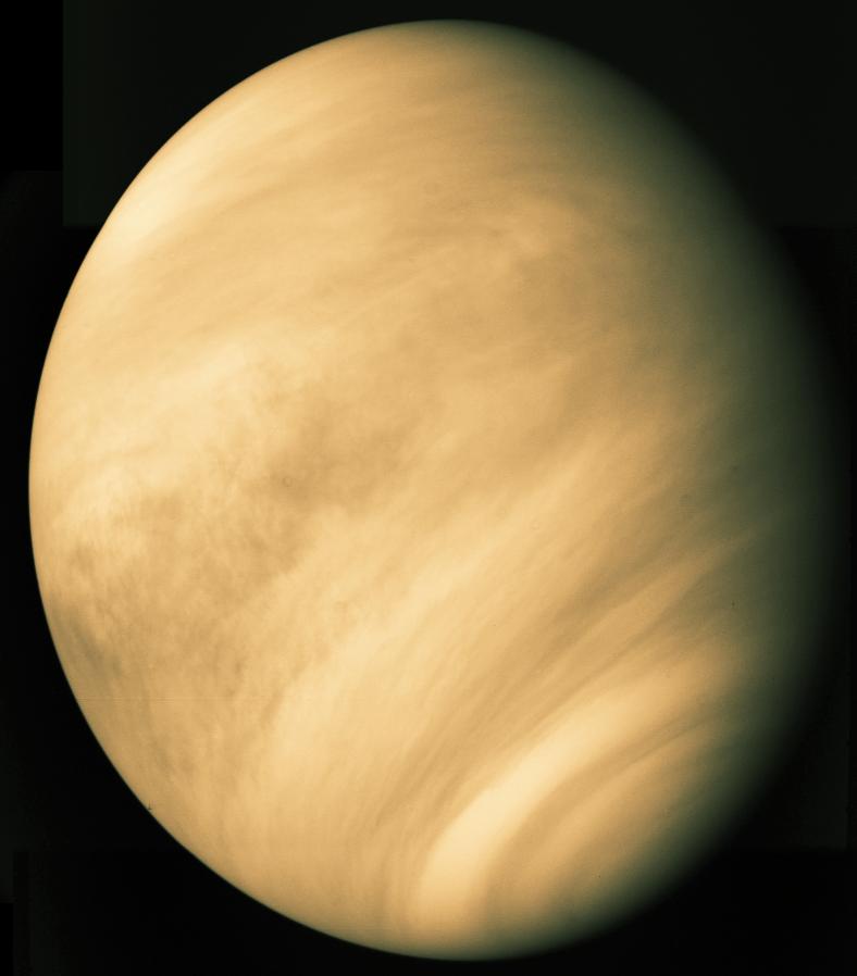 Venus: un