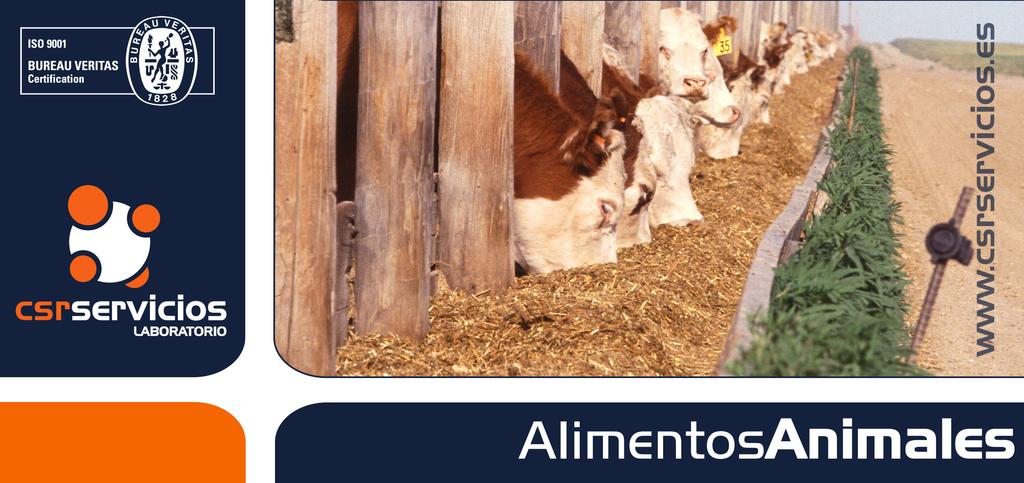Datos de la Oferta TÍTULO ANÁLISIS DE ALIMENTOS PARA ANIMALES SOLICITANTE A/A: