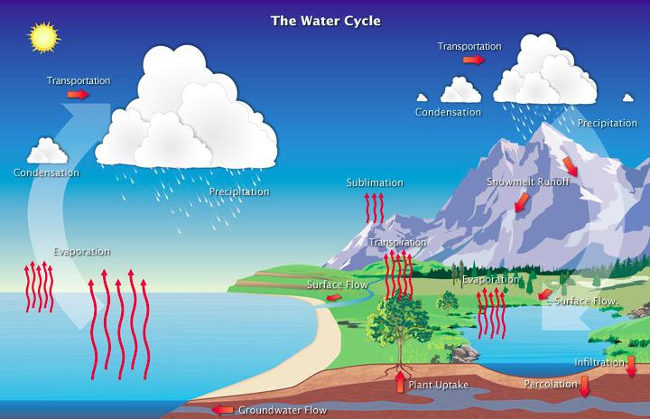Ciclo hidrológico 85% de la evaporación total es de océanos Si todo el