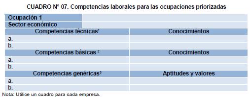 Limitaciones de ocupaciones actuales en contribución a productividad empresarial.