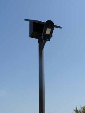 All our street luminaires may be configured to be adapted to 12V or 24V solar luminaries.