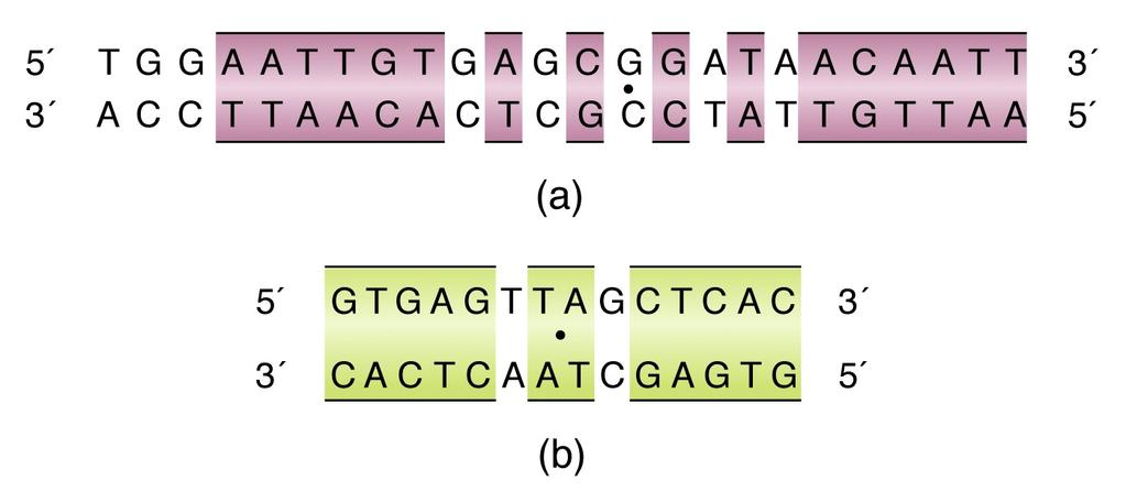 Los factores transcripcionales (activadores o represores) reconocen secuencias específicas en