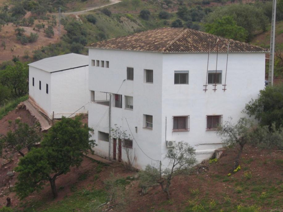 La Asociación Española de Criadores de la Cabra Malagueña - Fundada en 1983 - Reconocida para gestión