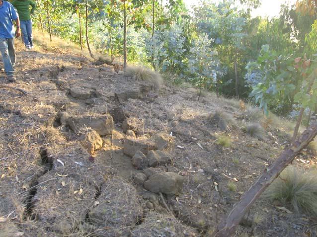 En este sector se produjo caída de rocas desde un escarpe subvertical existente en la ladera noroeste, afectando el terreno de una vivienda que en ese momento se encontraba desocupada.