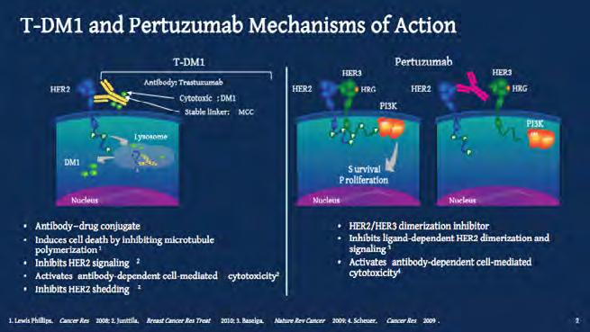 14 Figura 1. Mecanismo de acción de t-dm1 y Pertuzumab t-dm1 es una droga sumamente interesante.