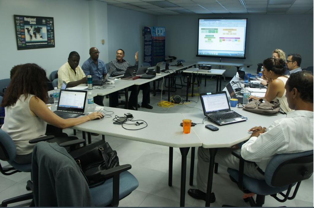 (Kingston, Jamaica) ~ Los puestos restantes de Oficial de Información Pública (P3 especialista en comunicación), Coordinador Regional del proyecto (alto funcionario