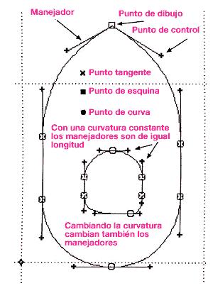Figura 3. Curvas Bézier con sus elementos Los puntos de control (BCP) se encuentran al final de los manejadores (indicados por unas pequeñas cruces).