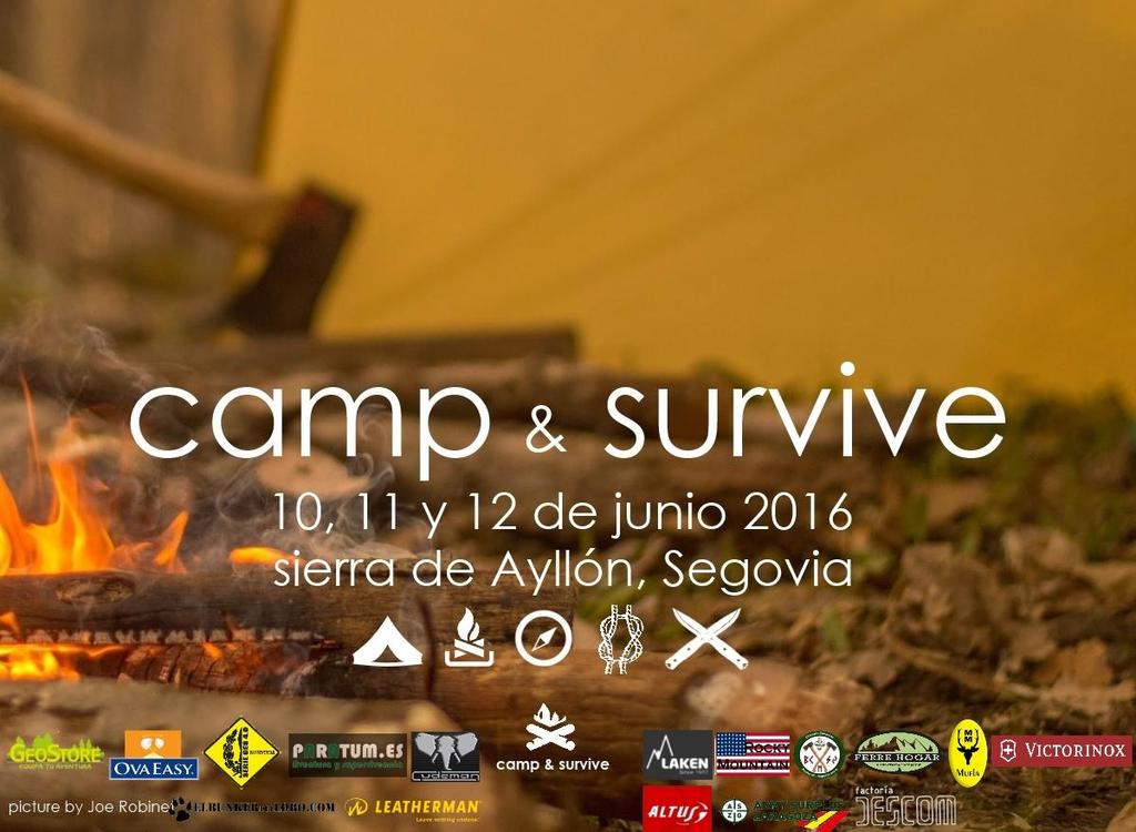 El lugar de acampada estará situado junto al hayedo de la Pedrosa, a 2 kilómetros de Riofrío de Riaza (Segovia), en un bosque de robles en el que se compartirán algunos de los