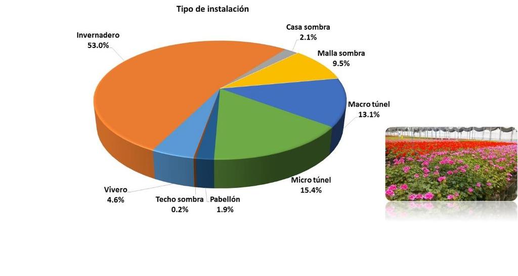 El invernadero es la instalación que más se usa en la agricultura protegida, la cual ocupa el 53% de los 56,430 terrenos que existen en el país con esta modalidad agrícola, siguiéndole en orden de