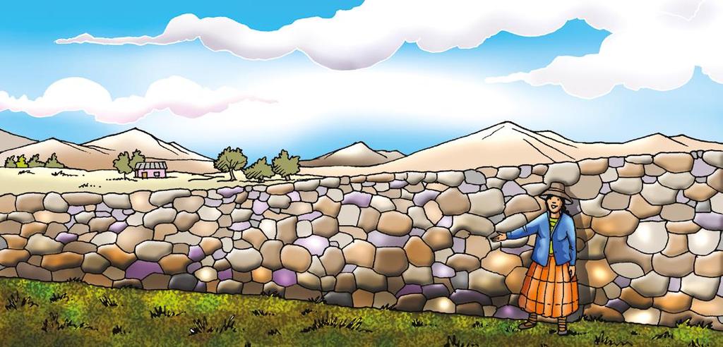 15 Prácticas biofísicas de conservación de suelos y agua Muros de piedras Son muros que se construyen