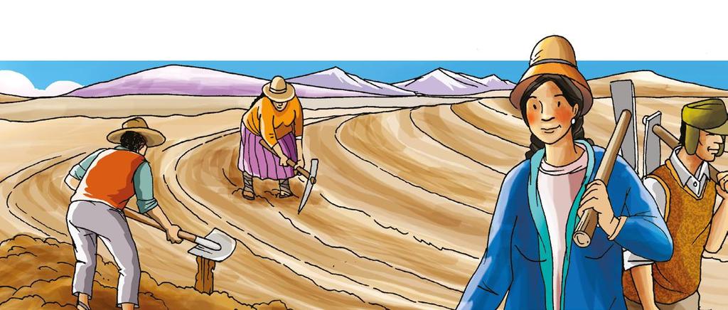 5 Prácticas biofísicas de conservación de suelos y agua El cultivo en surcos ayuda a: Reducir la velocidad del escurrimiento superficial.