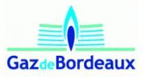 1994: asociación con BP y Gaz de Bordeaux en la creación de la primera empresa del grupo, Dourogás SA 1999: