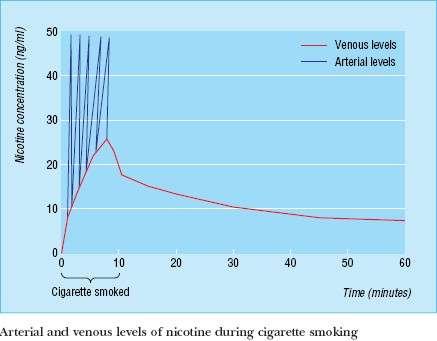Efectos de la Nicotina Alcanza cerebro en 10-16