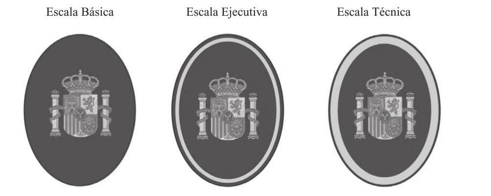 Rodeando el escudo de España aro dorado de 2,5 mm de ancho para la escala ejecutiva, y de 5 mm para la escala técnica. Medidas: Del escudo: Tendrá una altura y anchura de 40 milímetros.