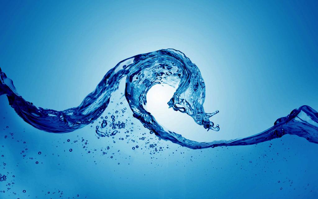 OBJETIVOS DE APRENDIZAJE: Apreciar la importancia del agua en los sistemas vivos.