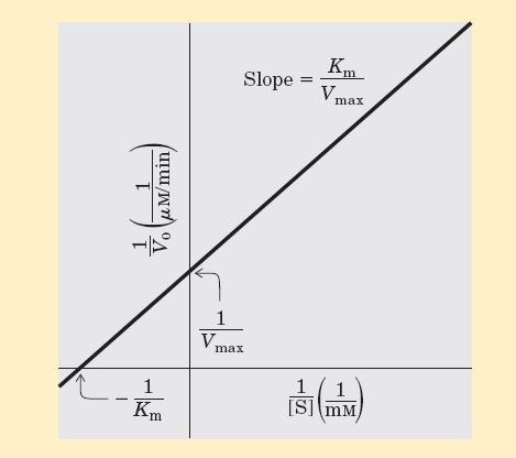Linearización de la ecuación de M-M