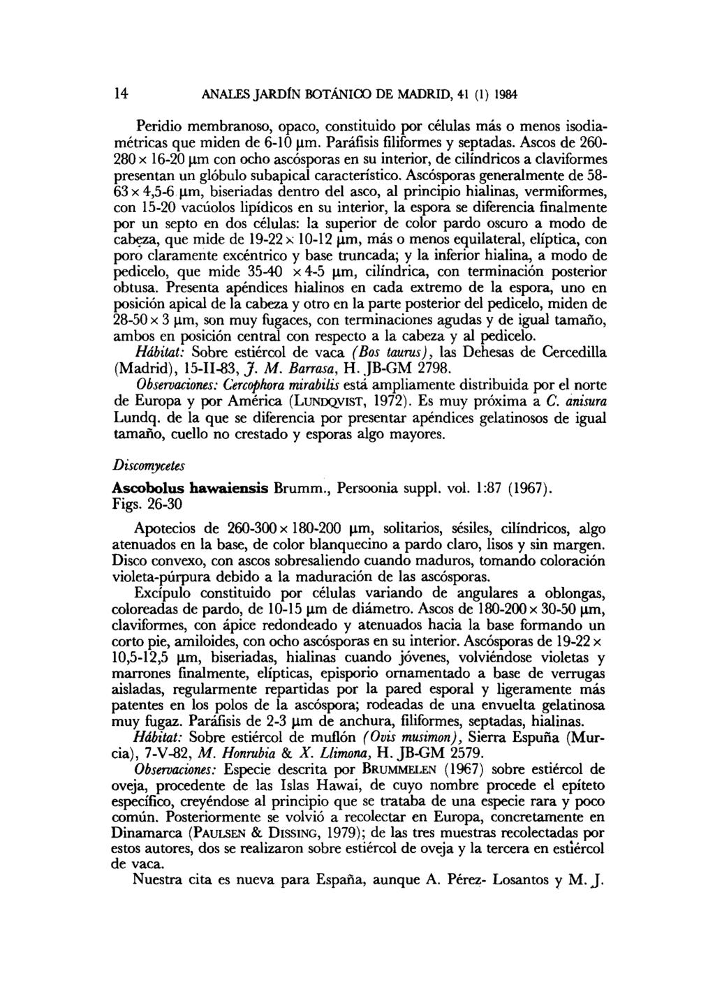 14 ANALES JARDÍN BOTÁNICO DE MADRID, 41 (1) 1984 Peridio membranoso, opaco, constituido por células más o menos isodiamétricas que miden de 6-10 um. Paráfisis filiformes y septadas.
