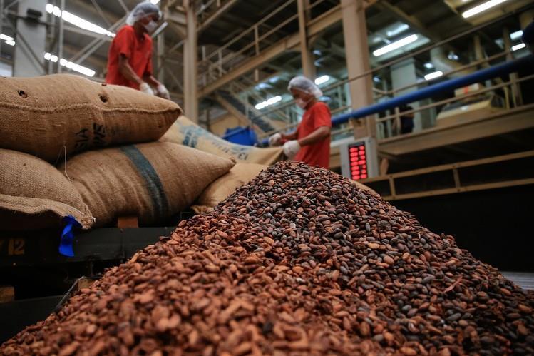 REGION CUSCO Comercialización de Cacao Orgánico de la Asociación de Productores de Cacao La Cumbre Inambari APROCCI Beneficiarios: 33 familias (165 beneficiarios)