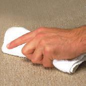 Limpiador de tapetes & tapicerias Fuerza profesional, limpiador & desodorizante profundo Use para eliminar manchas o en equipos de extración Utilice con seguridad en maquinas lavatapetes de