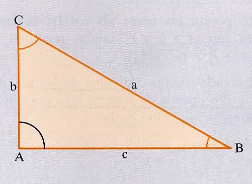TRIANGLE ACUTANGLE: És el triangle que té tots els angles aguts.