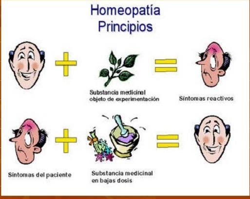 Principios fundamentales de la homeopatía Ley de la