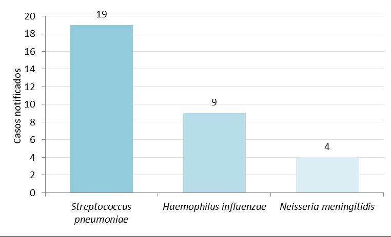 Respecto a las enfermedades invasivas no meníngeas se notificaron 32 casos en residentes hasta la semana 52 del año 2017. En el siguiente gráfico se observa la distribución según etiología.