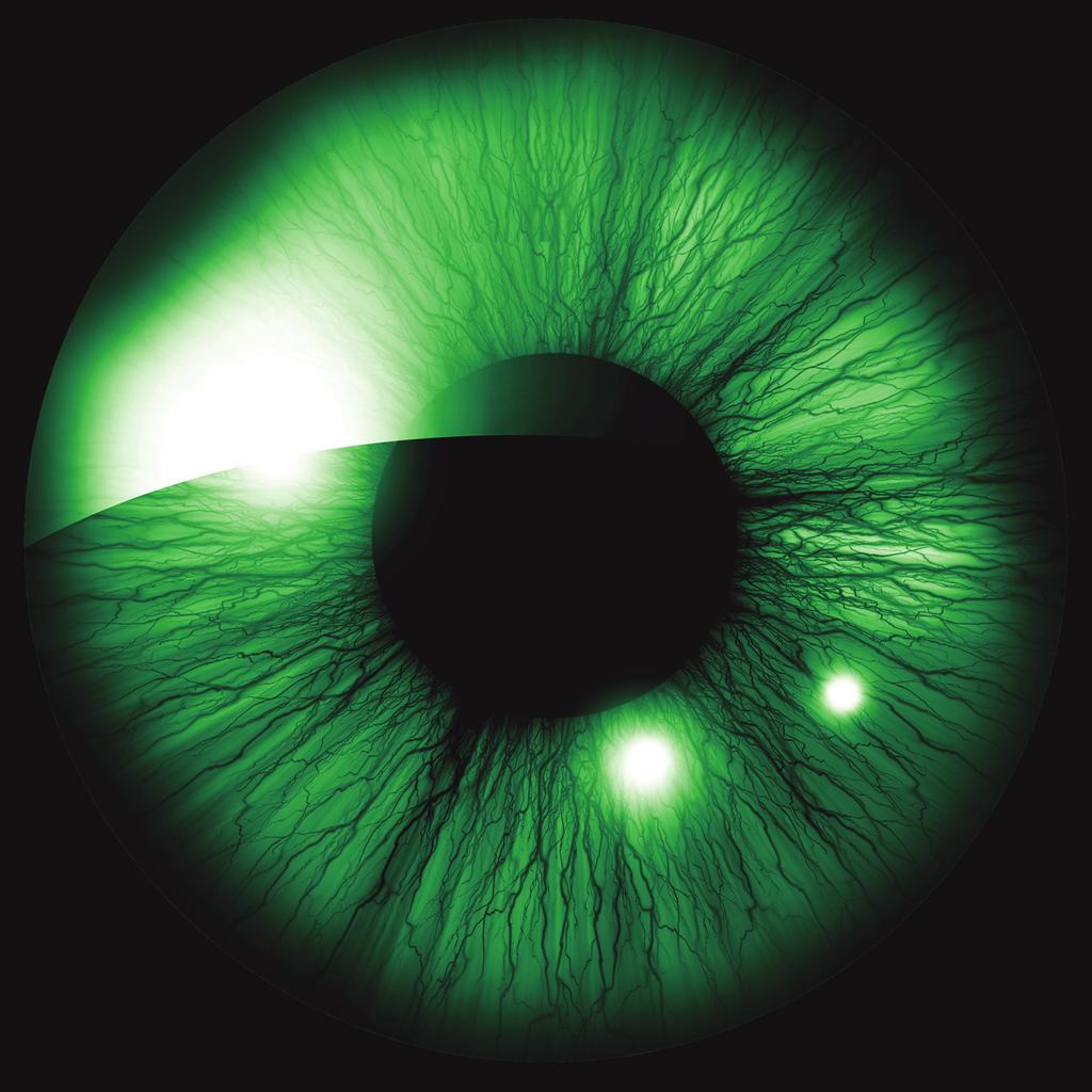 SIMPOSIO INTERNACIONAL International Symposium Distrofias de retina: de la investigación al manejo