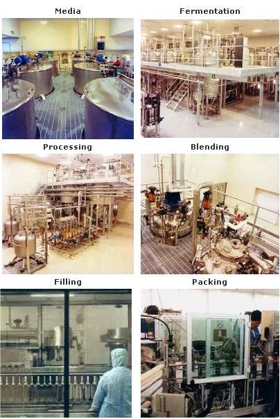 Instalaciones de producción 1) Diseñadas para garantizar la pureza del producto en todas las etapas de producción como también proteger la salud del personal.