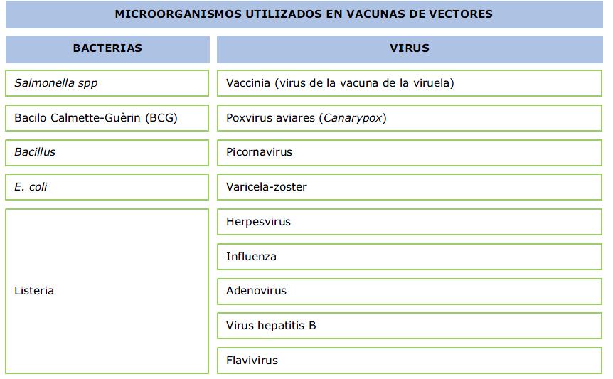 Las vacunas recombinantes vectoriales consisten de organismos no patogénicos o de gen deletado en el que se inserta un