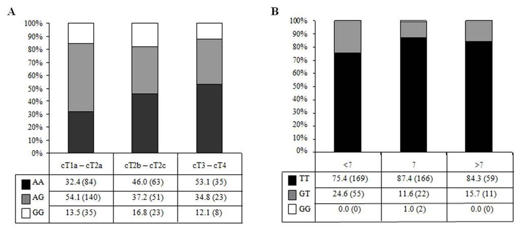 TT, mientras que 59 de los 70 pacientes (84.29%) clasificados con un Gleason score > 7 fueron genotipados como TT, siendo estadísticamente significativa esta diferencia de distribución (Figura 15B).