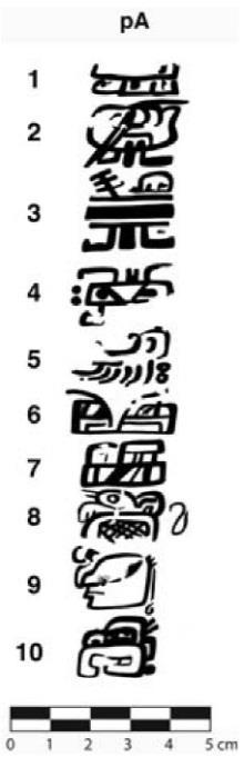 técnica del radiocarbono; en conjunto el análisis de estas muestras implica que el texto fue pintado entre el 300 y 200 a.c. Esta presencia de escritura temprana implica un desarrollado en el sistema de escritura maya que estuvo en uso siglos antes de lo que se pensaba anteriormente (Saturno, Stuart y Beltrán, 2006).
