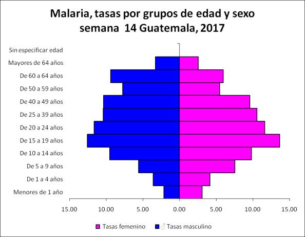 Grafica 10 Los datos reportados evidencian que todos los grupos de edad están afectados en ambos sexos con mayor incidencia el grupo de 10