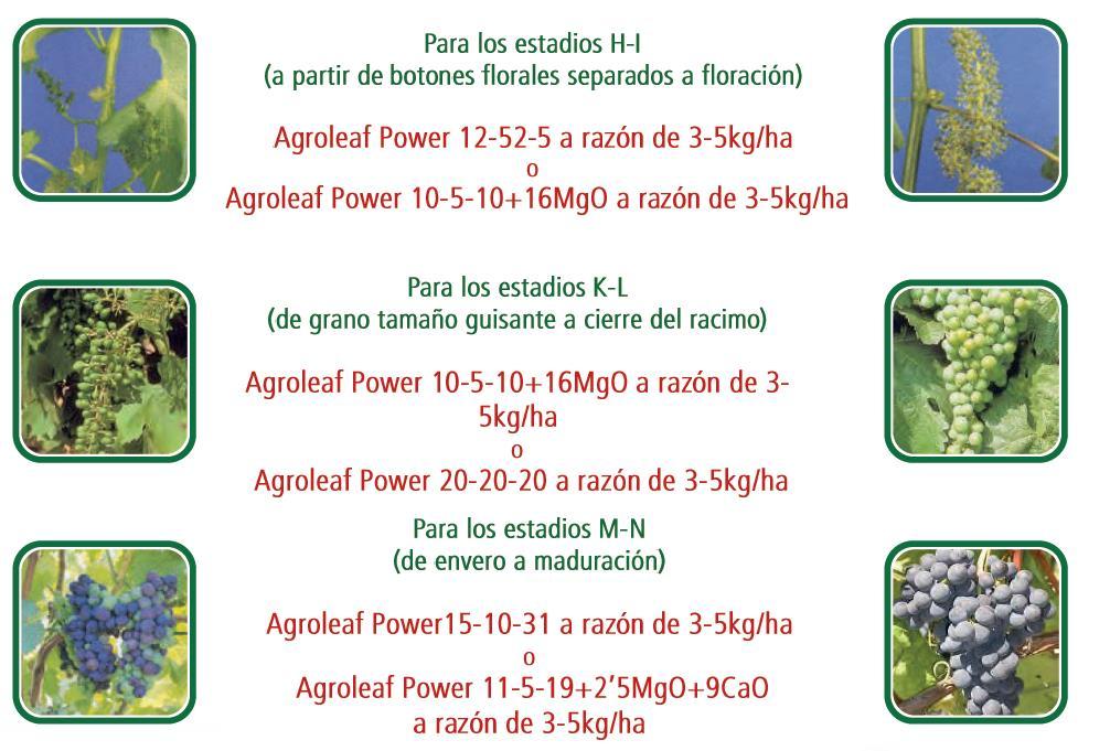 Agroleaf Power