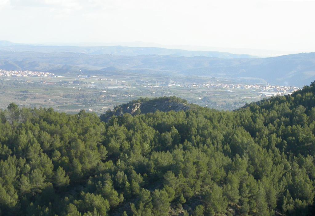 4. Ascenso hasta el Cerro de Lucena, poblado ibérico. 5. Descenso hasta el Castillo.