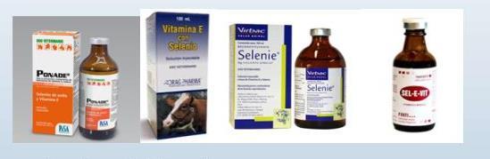 (ivermectina + closantil) Aplicación de selenio y vitamina E Verificar