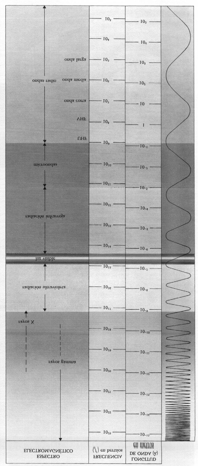 Espectro electromagnético utilizado en el tratamiento de alimentos Banda Longitud onda Frecuencia Onda corta 100-10 m 3-30 MHz Onda ultracorta 10-1 m 30-300 MHz Microondas 100-10 cm 300-3000 MHz 10-1