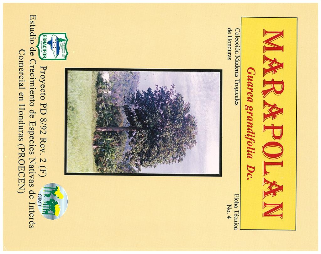 MARAPOLAN Guarea grandifolia Dc. Colecci6n Maderas Tropicales de Honduras Ficha Tecnica No.
