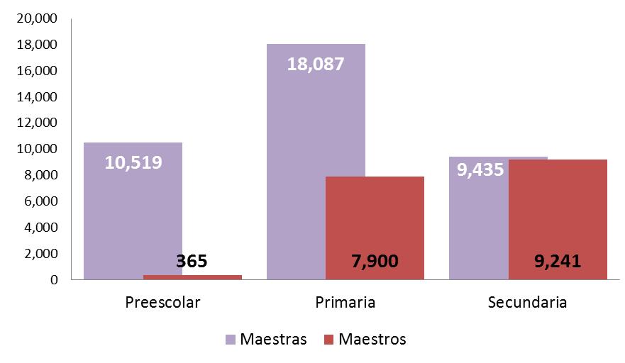 Ciclo En la educación primaria, la información disponible para el ciclo 2015-2016 consigna la participación de 25,987 docentes, de los cuales el 69% son mujeres y el 31% son hombres.