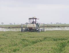 Agricultura de Conservación TÉCNICA Maquinaria para la distribución de los fitosanitarios: regulación y control/inspección de los equipos aplicadores En una aplicación de productos fitosanitarios