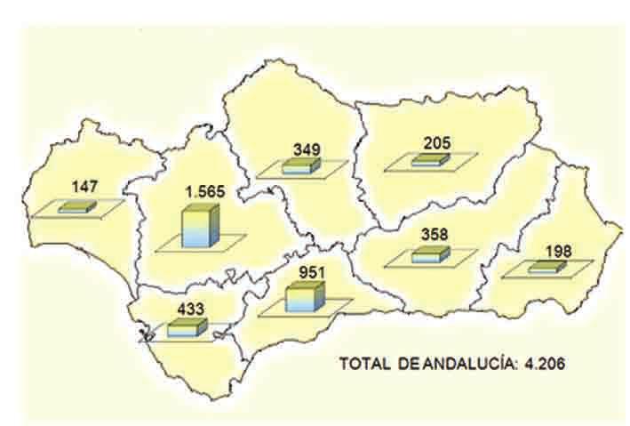 Distribución territorial del número de establescimiento respecto al total de Andalucía Año 2006 Sevilla 24,90% Almería 8,04% Cádiz 15,00% Málaga 18,53% Jaén 7,45% Huelva 5,59% Granada 11,47% Córdoba