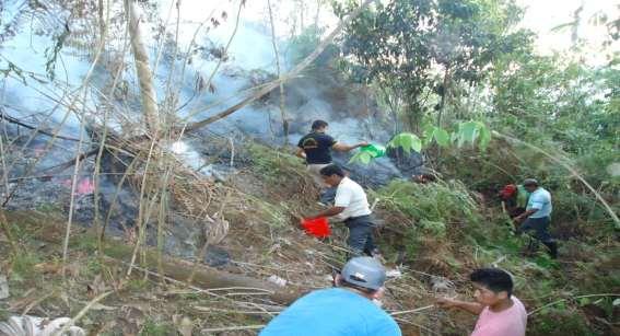 INCENDIOS FORESTALES Se logró extinguir en el Cerro Tamburco y