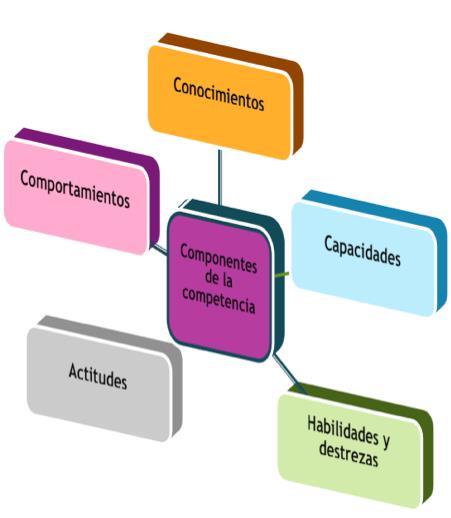 MODELO DE COMPETENCIAS DEL PROFESORADO Base para detección planificación realización - evaluación 5