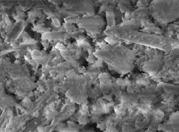 (a) (b) 10 µm 10 µm (c) 10 µm Figura 47 Imágenes de SEM de los geles producidos a partir de acetato de