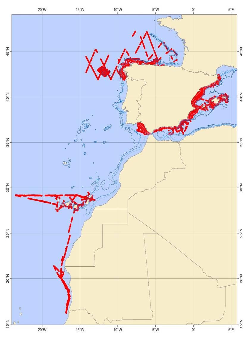 AVES Censos en el Mar Repetición de campañas oceanográficas ESTABILIDAD TEMPORAL Embarques en las zonas