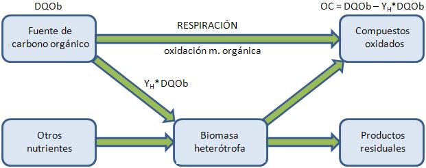 Coeficiente de rendimiento de biomasa heterótrofa (Y H ) (I) REPRODUCCIÓN DE LA