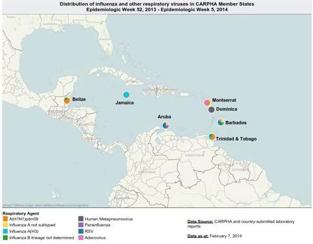 metapneumovirus humano (Dominica), parainfluenza (Aruba), VSR (Aruba, Barbados) y adenovirus (Barbados, Montserrat) CARPHA CARPHA.