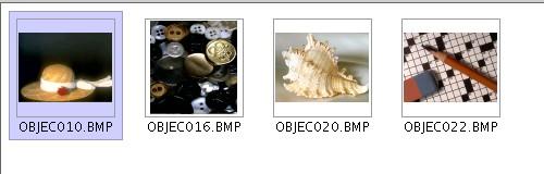 Cargamos en la mediateca las siguientes imágenes: ( La ruta completa es : Recursos - > Fotos3 - > Objects ) Una vez